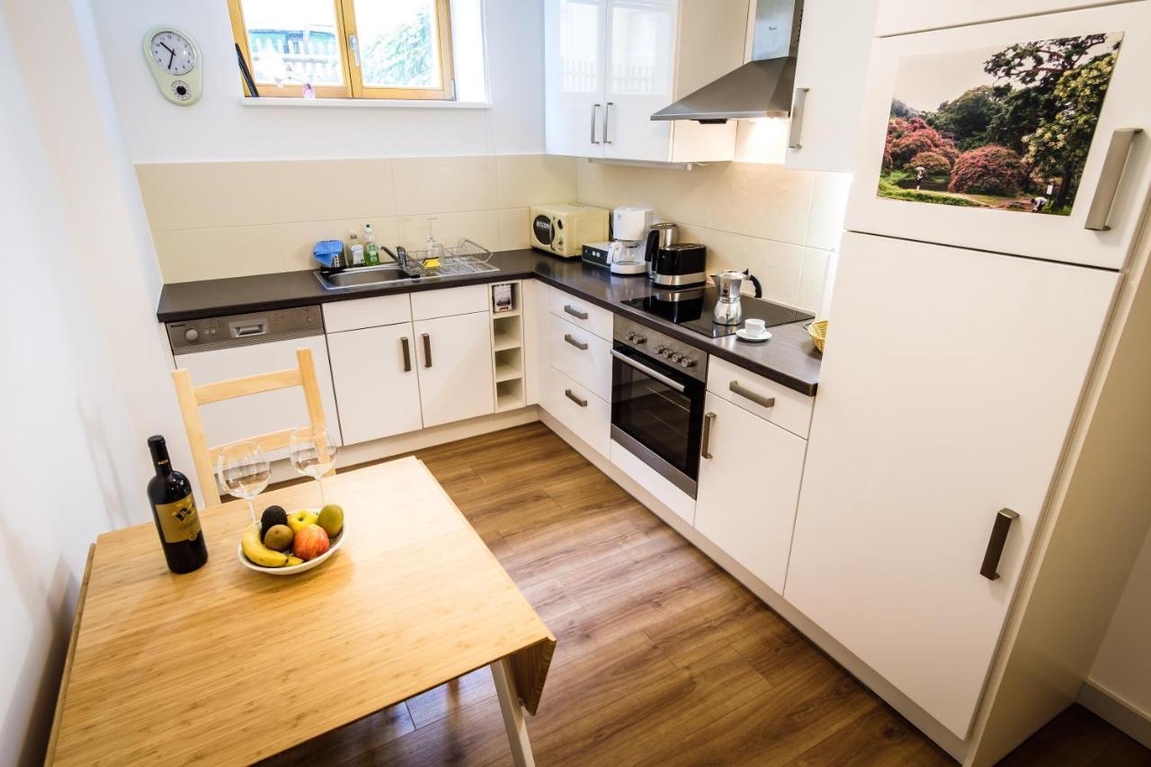 Wunderschoene Wohnung In Sanierter Villa! Incl Wifi Dresden Exteriör bild